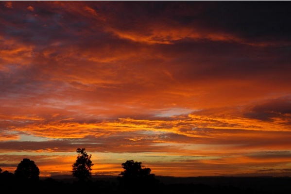 Figura 2: Imagen realizada en McLeans Ridges, Australia, donde se pueden apreciar altostratus en un atardecer. Fuente: http://www.australiasevereweather.com/